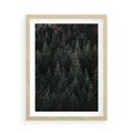Plakat w ramie 50x70 - Wysoko nad Iglastym Lasem - las, perspektywa - rama drewno
