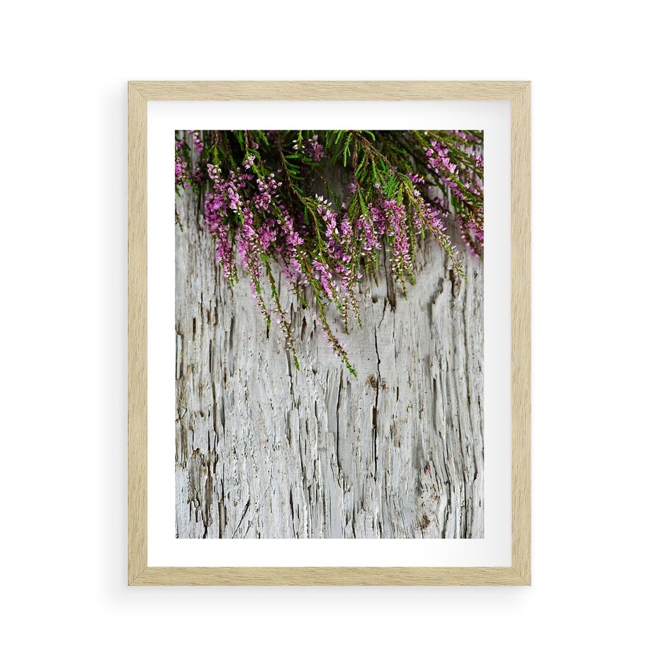 Plakat w ramie 40x50 - Fioletowe Wrzosy - wrzosy, fiolet - rama drewno