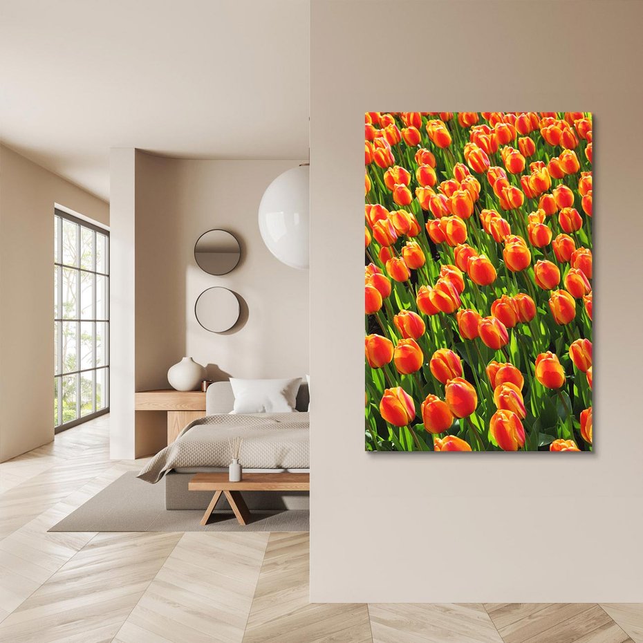 Obraz na płótnie 70x100 - Urok tulipanów piękno kwiatów - tulipany, kwiaty