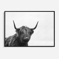 Obraz w ramie 100x70 - Moc i Spokój - amerykańskie bydło, byk - rama czarna