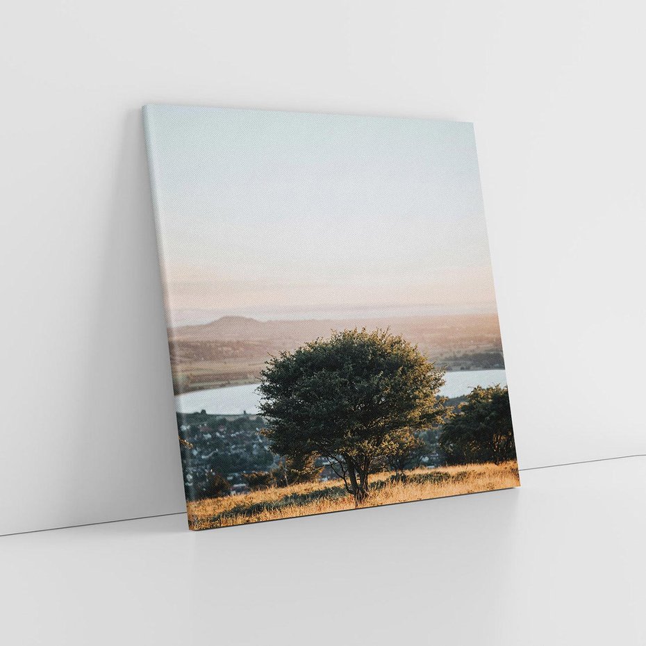 Obraz na płótnie 50x50 - Siła Natury - drzewo, pejzaż