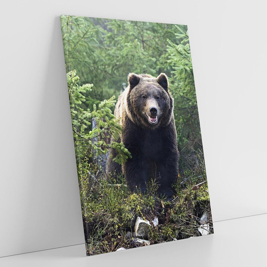 Obraz na płótnie 70x100 - Spotkanie z Niedźwiedziem w Lesie - niedźwiedź, las