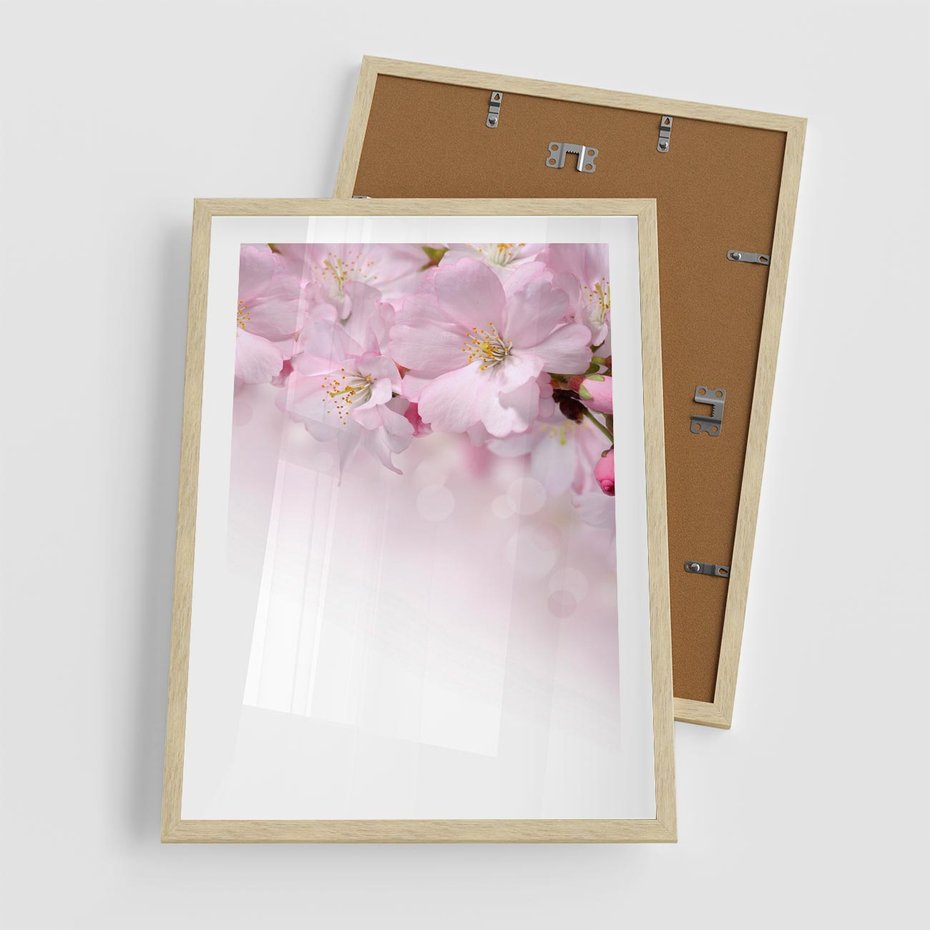 Plakat w ramie 50x70 - Kwitnąca Wiśnia - kwiaty, kwitnącej - rama drewno