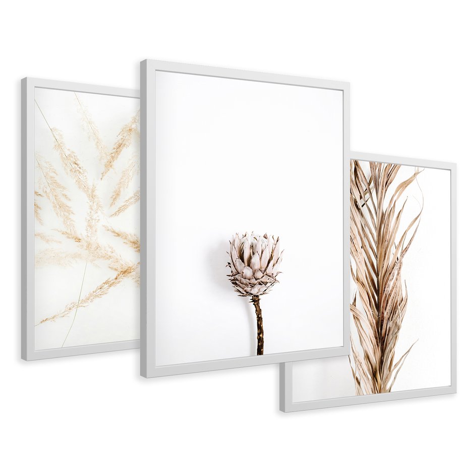 Zestaw obrazy w ramie 40x50 galeria - Boho, trawy, suche - rama biała