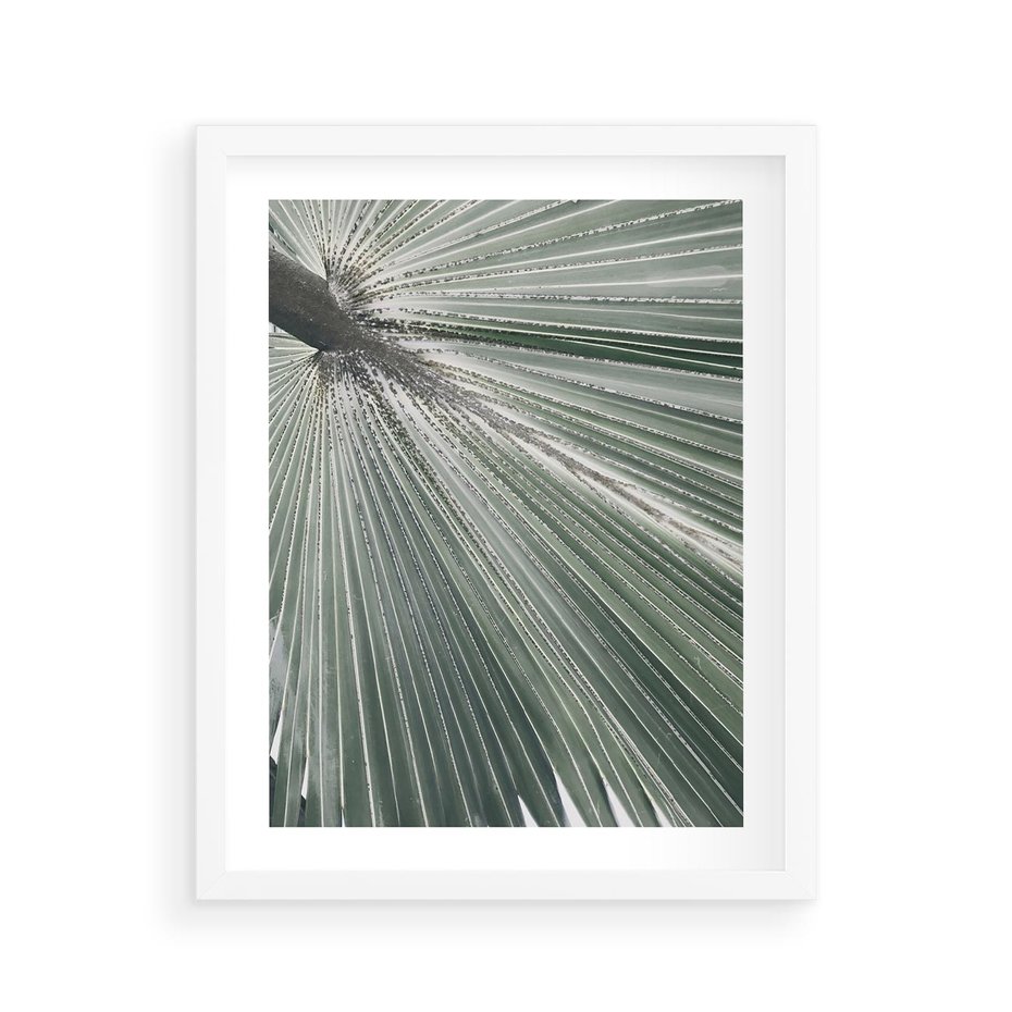 Plakat w ramie 40x50 - Jasnozielony Świat - palma, liść - rama biała