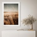 Plakat w ramie 30x40 - Sucha Trawa w Odcieniach Sepii - suche trawy, łąka odcienie beżu - rama biała