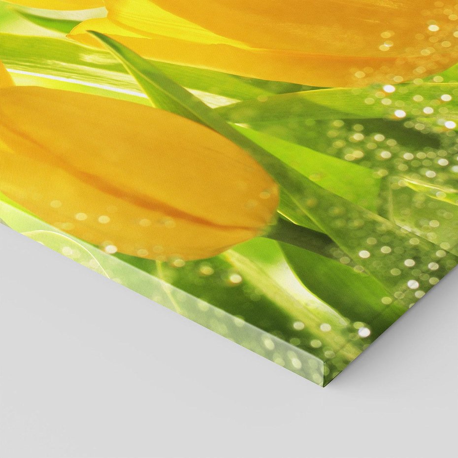 Obraz na płótnie 50x70 - Tulipany - szczyt kwiatowego piękna - tulipany, kwiaty