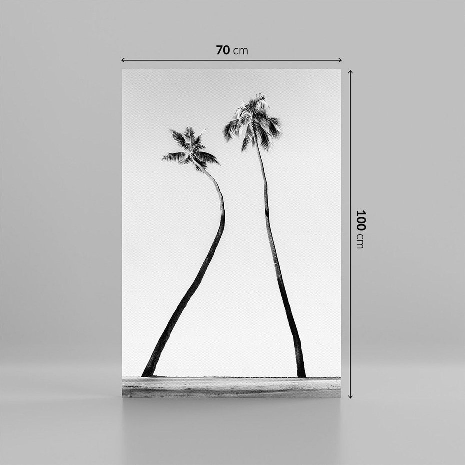 Obraz na płótnie 70x100 - Samotne Palmy - czarno biała fotografia, dwie samotne palmy