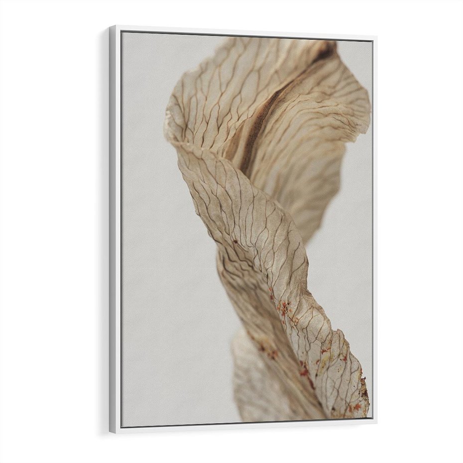 Obraz w ramie 80x120 - Suszone piękno - susz, suche - rama biała