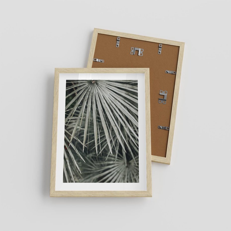 Plakat w ramie 30x40 - Ujęcie Tropikalnej Natury - palmy, liście palmy - rama drewno