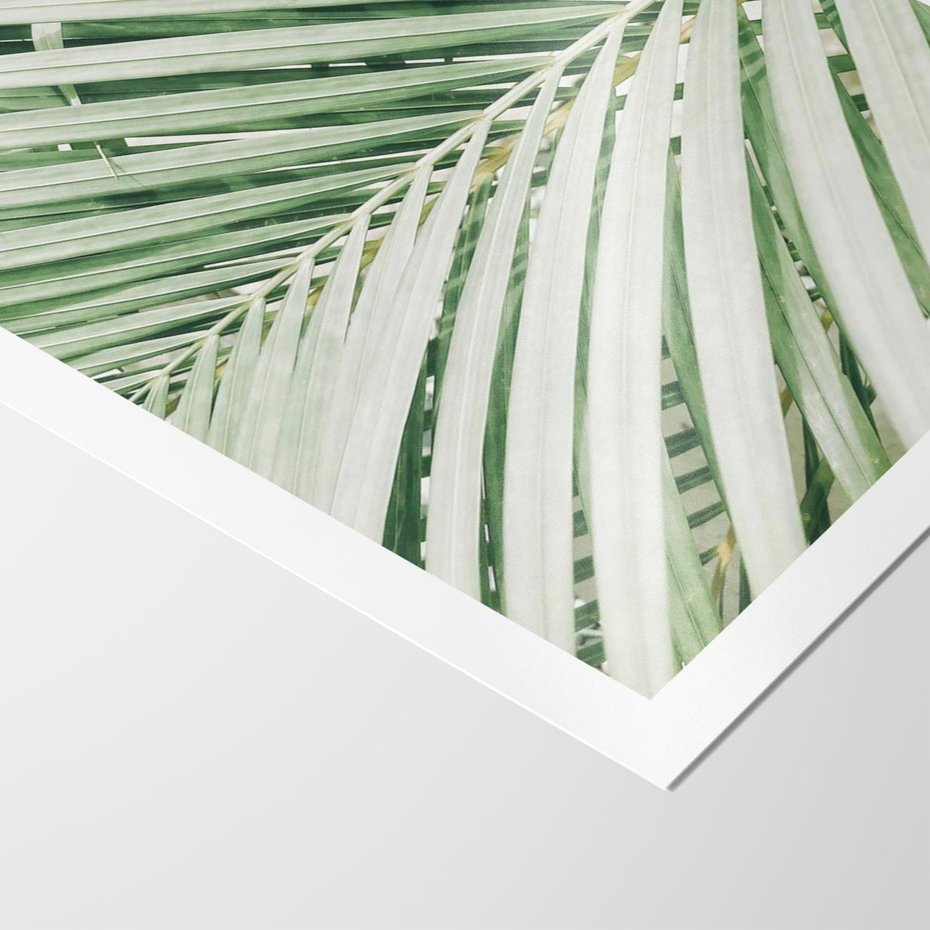 Plakat bez ramy 30x40 - Liście Palmy: Egzotyczna Grafika - palma, liście palmy