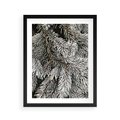Plakat w ramie 40x50 - Cisza Zimowej Natury - zima, iglaste gałązki - rama czarna