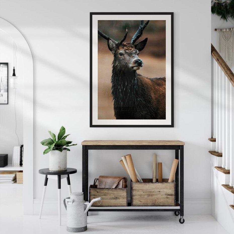 Plakat bez ramy 40x50 - Spokojny jeleń - jeleń, las