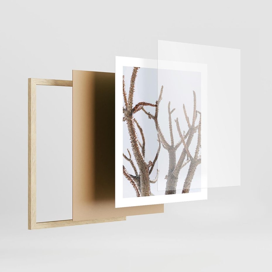 Plakat w ramie 40x50 - Pustynna Harmonia Gałęzi - pustynna roślina, suche gałęzie - rama drewno
