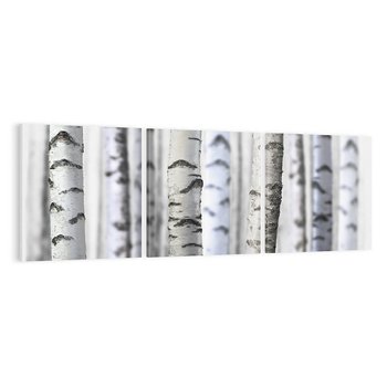 Obraz na płótnie 120x40 - Delikatność brzóz - brzozy, las