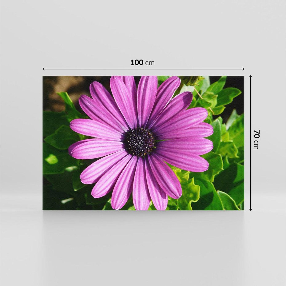 Obraz na płótnie 100x70 - Kwiatowy Dotyk - kwiat, kwiaty