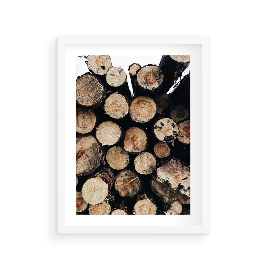 Plakat w ramie 30x40 - Siła Drewna - ścięte drewno, belki drewna ułożone jedna na drugiej - rama biała