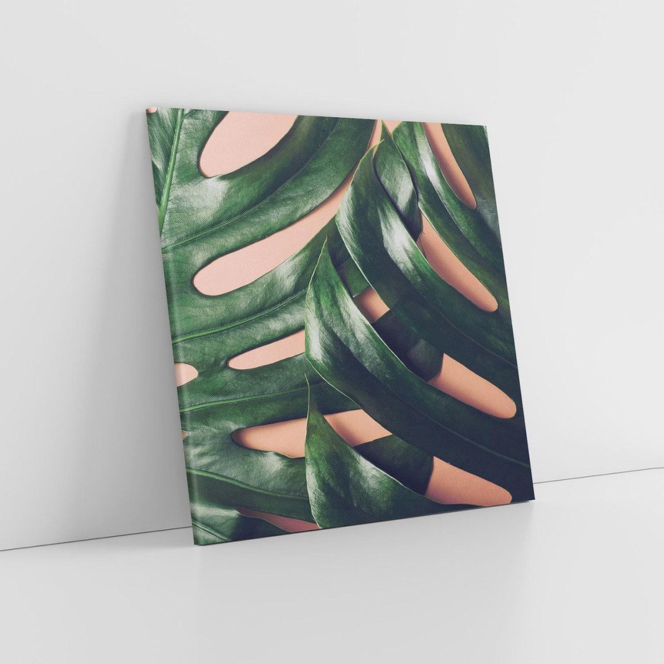 Obraz na płótnie 60x60 - Monstera Liście - monstera, liście