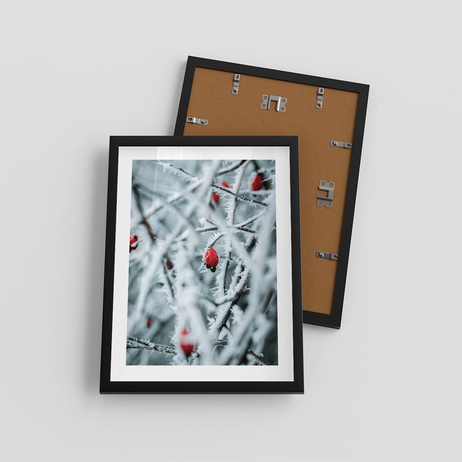 Plakat w ramie 30x40 - Zima na Gałęziach - zima, oszronione gałęzie - rama czarna