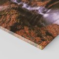 Obraz na płótnie 50x50 - Barwna Harmonia - strumień, las
