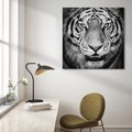 Obraz na płótnie 40x40 - Tygrys Czarno-Biały: Siła i Delikatność - tygrys, czarno