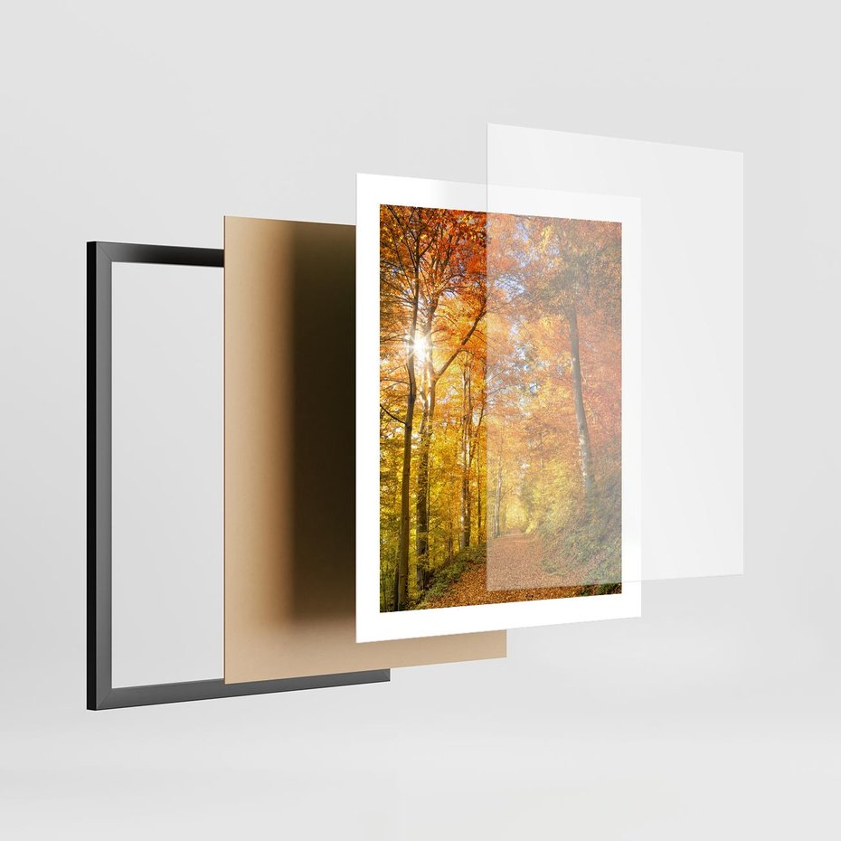 Plakat w ramie 40x50 - Złote barwy jesiennego lasu - las, jesień - rama czarna