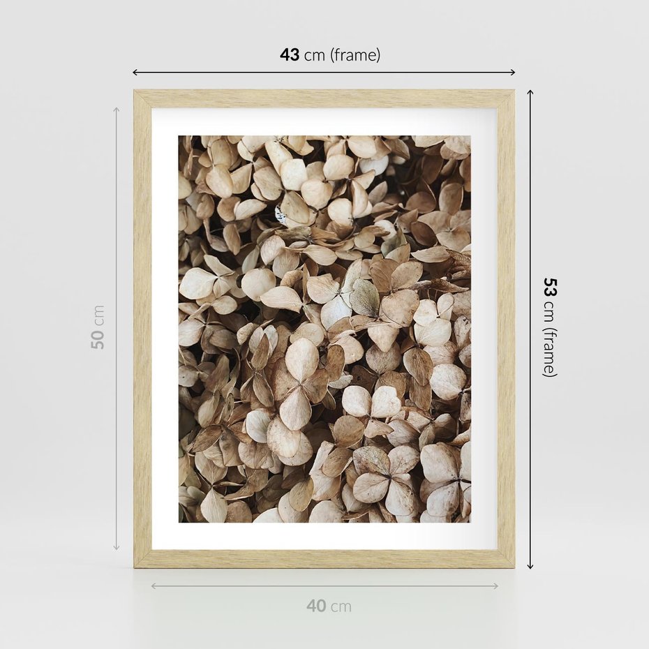 Plakat w ramie 40x50 - Delikatność Hortensji: Kompozycja Kwiatów w Beżu - hortensja, odcienie beżu - rama drewno