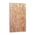 Obraz na płótnie 80x120 - Mistrzowskie suche trawy - suche, trawy
