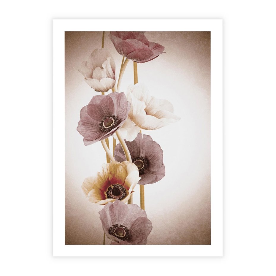 Plakat bez ramy 21x30 - Eksplozja kolorów - akwarela, maki