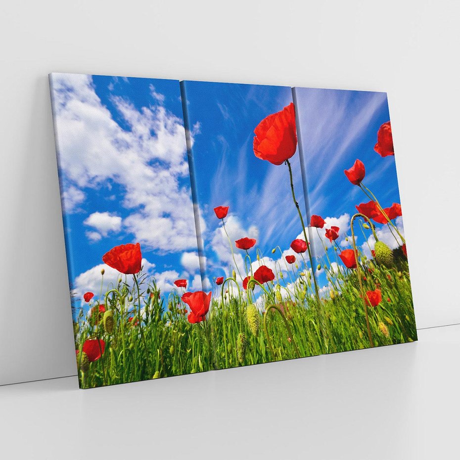 Obraz na płótnie 120x80 - Soczyste Kolory Przyrody - mak, maki