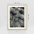 Plakat w ramie 30x40 - Zima na Gałęziach - sosnowe gałęzie, igły - rama drewno