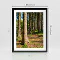 Plakat w ramie 40x50 - Las: harmonia natury - las, drzewa - rama czarna