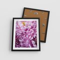 Plakat w ramie 40x50 - Fioletowy zawrót głowy - kwiat, różowy kwiat - rama czarna