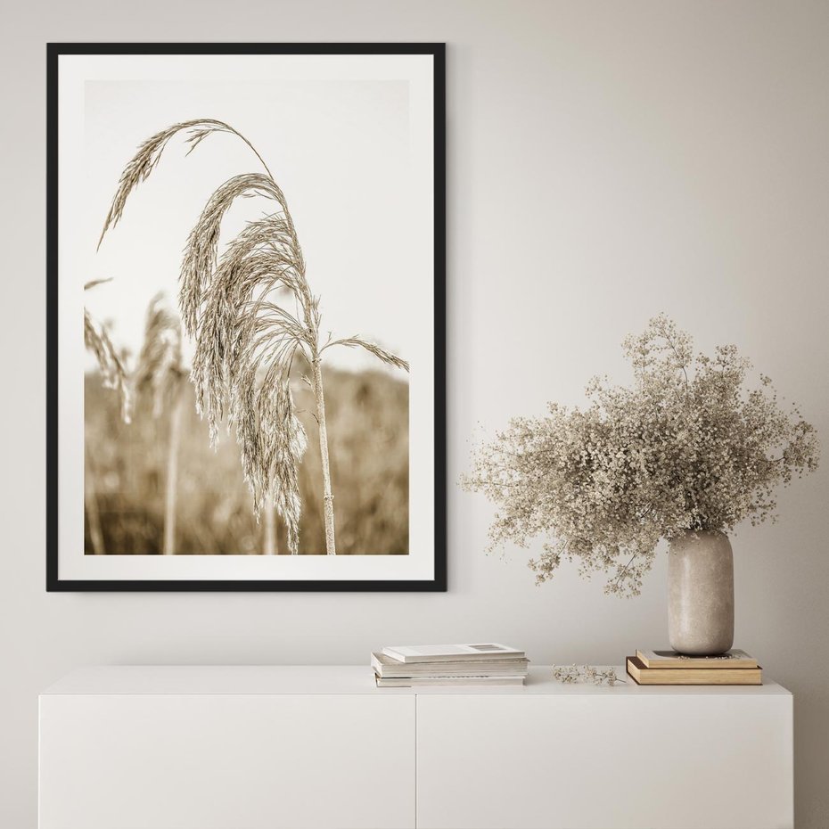 Plakat bez ramy 21x30 - Ujęcie Suchych Traw - suche trawy, zbliżenie