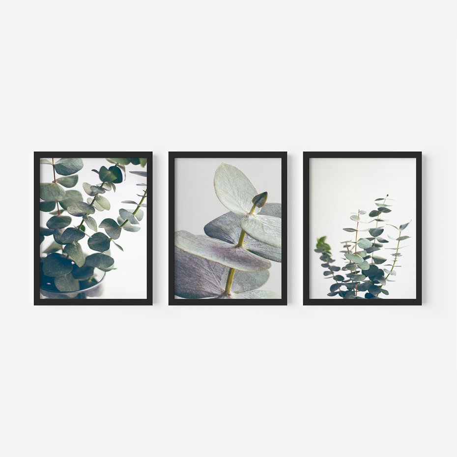 Zestaw obrazy w ramie 50x70 galeria - Eukaliptus, liście, skandynawski, boho - rama czarna