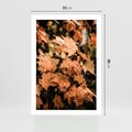 Plakat bez ramy 21x30 - Ciepło Jesieni - jesienne pomarańczowe liśćie, jesień