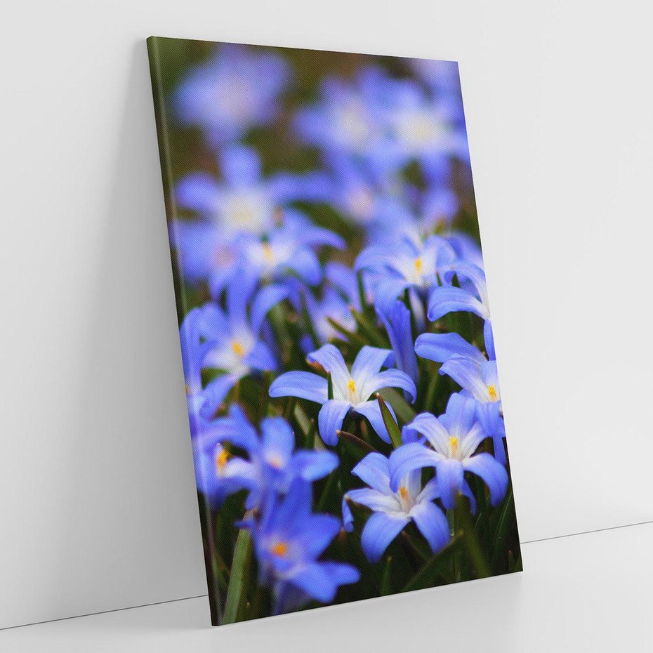 Obraz na płótnie 50x70 - Kwiatowy raj w naturze - kwiat, kwiaty