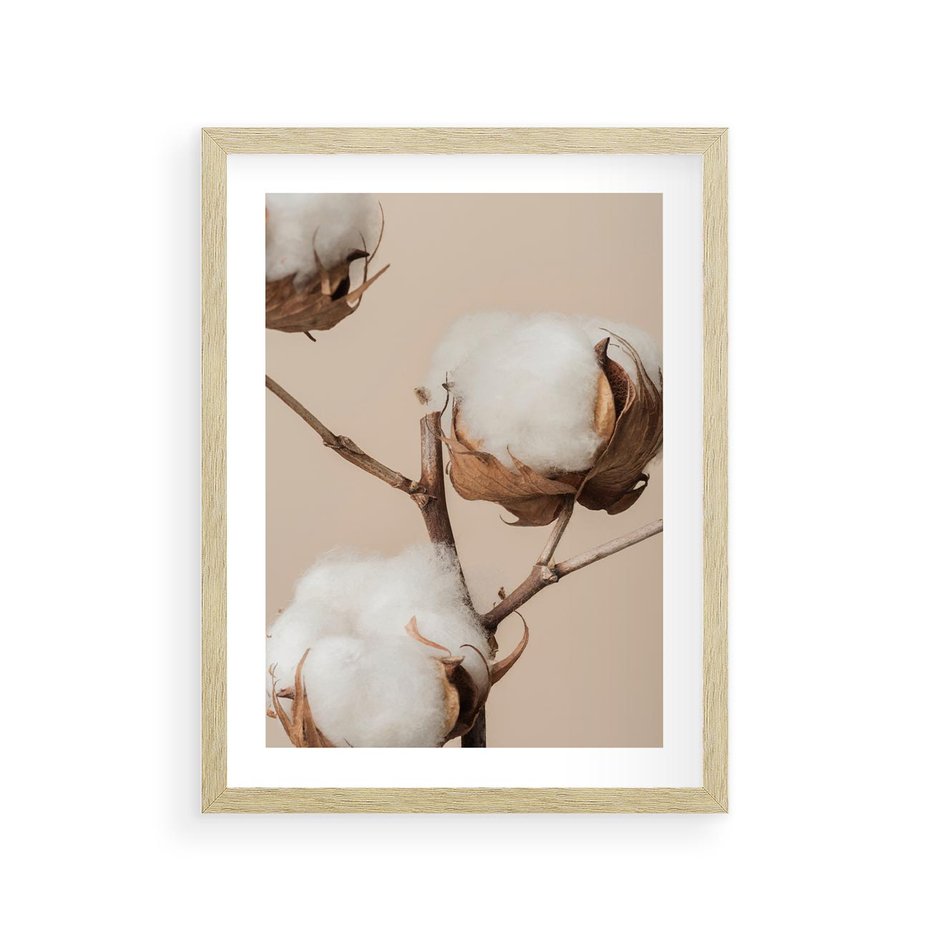 Plakat w ramie 30x40 - Bawełniana melancholia - bawełna, suche - rama drewno