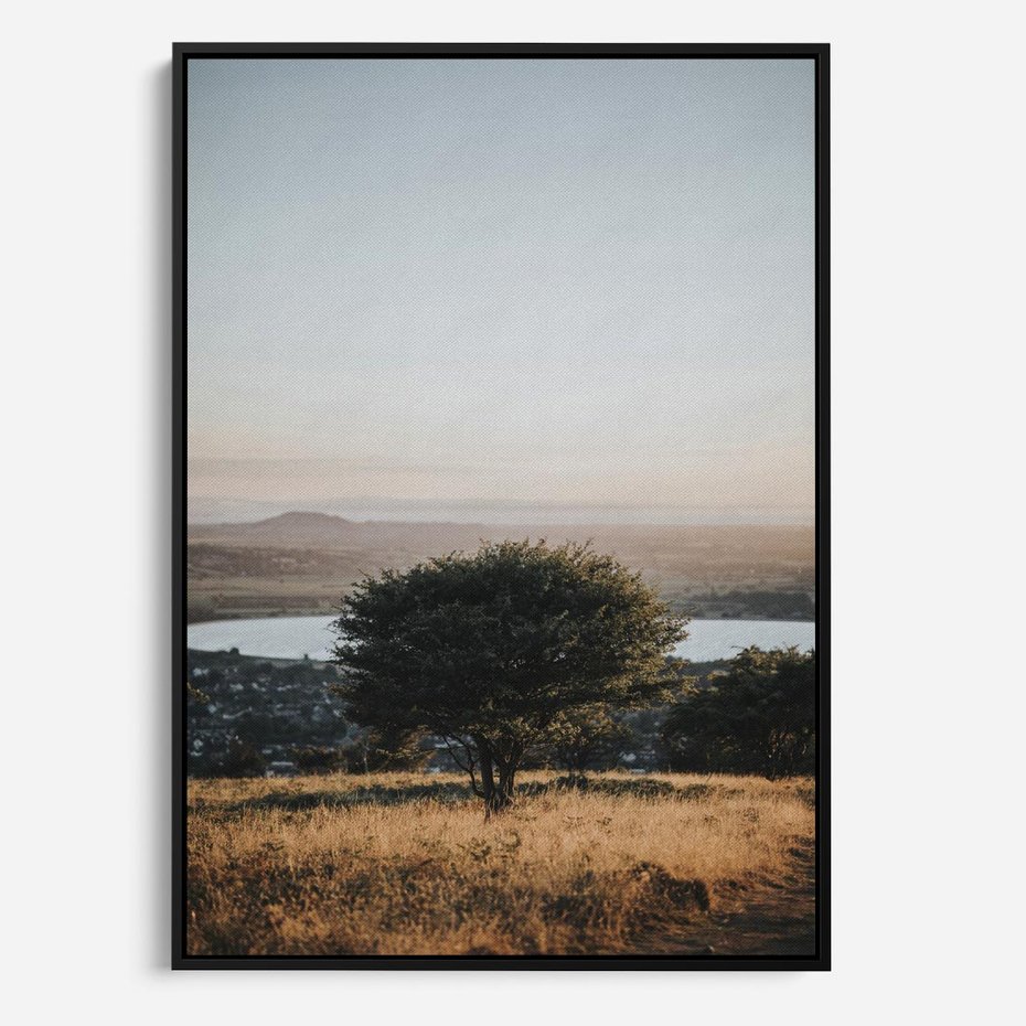 Obraz w ramie 50x70 - Siła Natury - drzewo, pejzaż - rama czarna