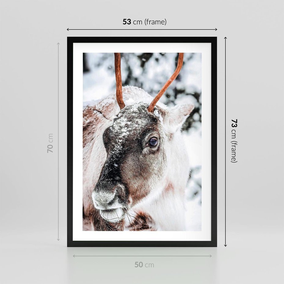 Plakat w ramie 50x70 - Renifer w Zimowej Krainie - renifer, zima - rama czarna