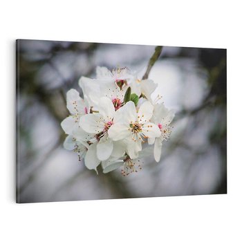 Obraz na płótnie 120x80 - Kwiatowa harmonia w tonacji pastelowej - kwiat, kwiaty