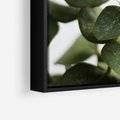 Obraz w ramie 70x50 - Zielone eukaliptusy - eukaliptus, liście - rama czarna