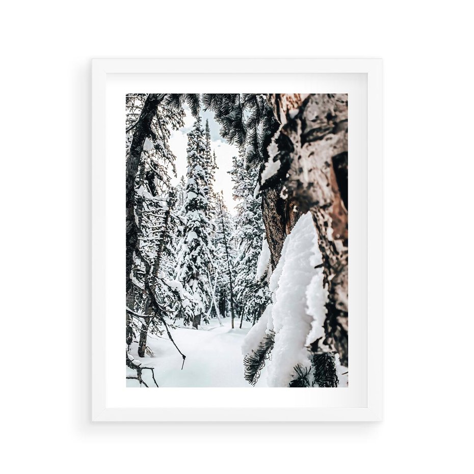 Plakat w ramie 40x50 - Drzewa pod Śniegiem - zima las, drzewa pod śniegiem - rama biała
