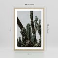 Plakat w ramie 50x70 - Boho oaza wśród kaktusów - kaktusy, pustynia - rama drewno
