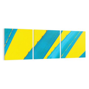 Obraz na płótnie 120x40 - Świeżość Natury - aloes, liście