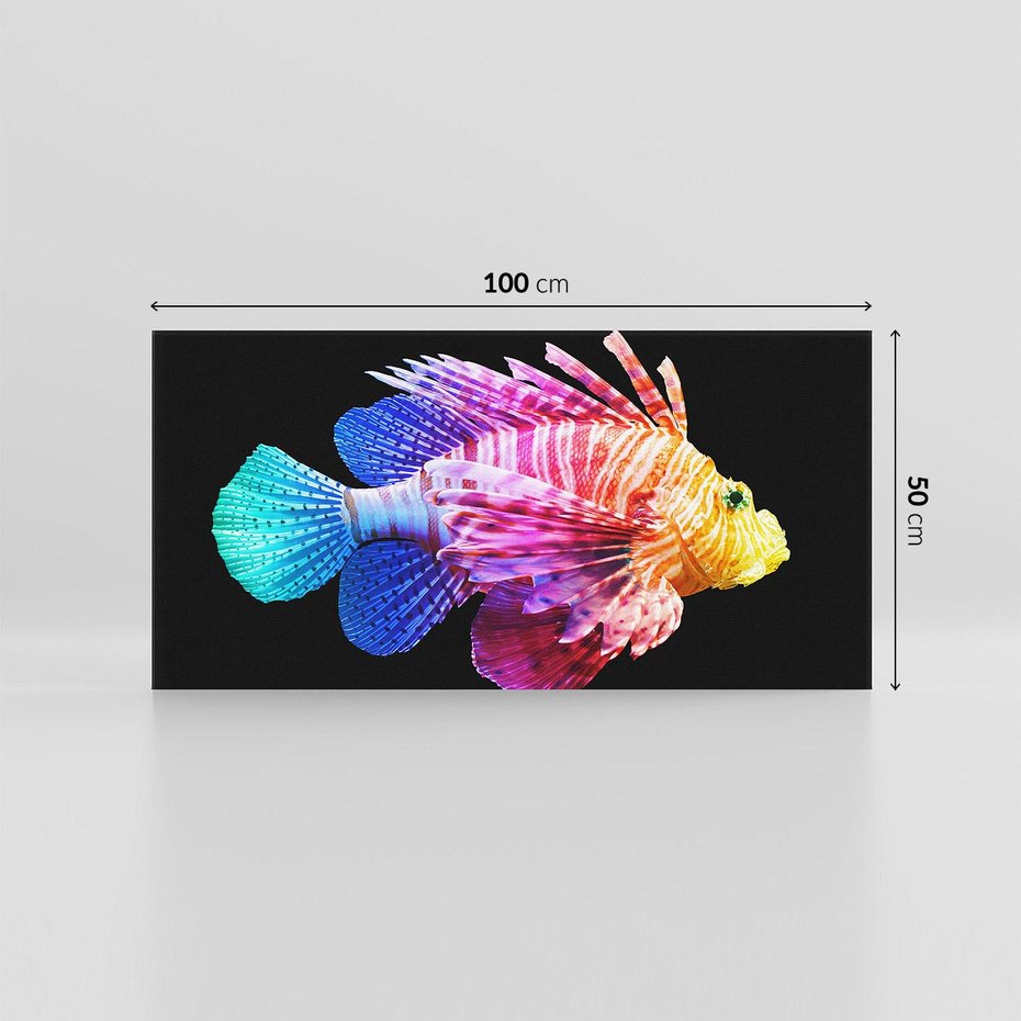 Obraz na płótnie 100x50 - Tęczowa Piękność - kolorowa tęczowa ryba, mocny akcent na czarnym tle