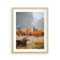 Plakat w ramie 40x50 - Malownicza Harmonia - jelenie, jesień - rama drewno