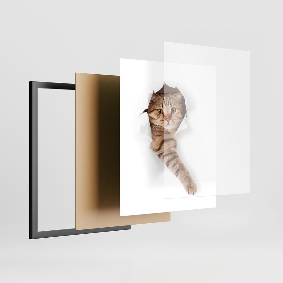 Plakat w ramie 40x50 - Kot w Dziurze - kot, dziura - rama czarna