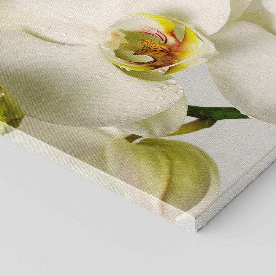 Obraz na płótnie 80x120 - Elegancka uroda orchidei - orchidea, kwiaty