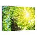 Obraz na płótnie 120x80 - Drzewo pod Słońcem: Łączność z Naturą - drzewo, słońce